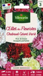 Œillet Chabaud Géant Varié
